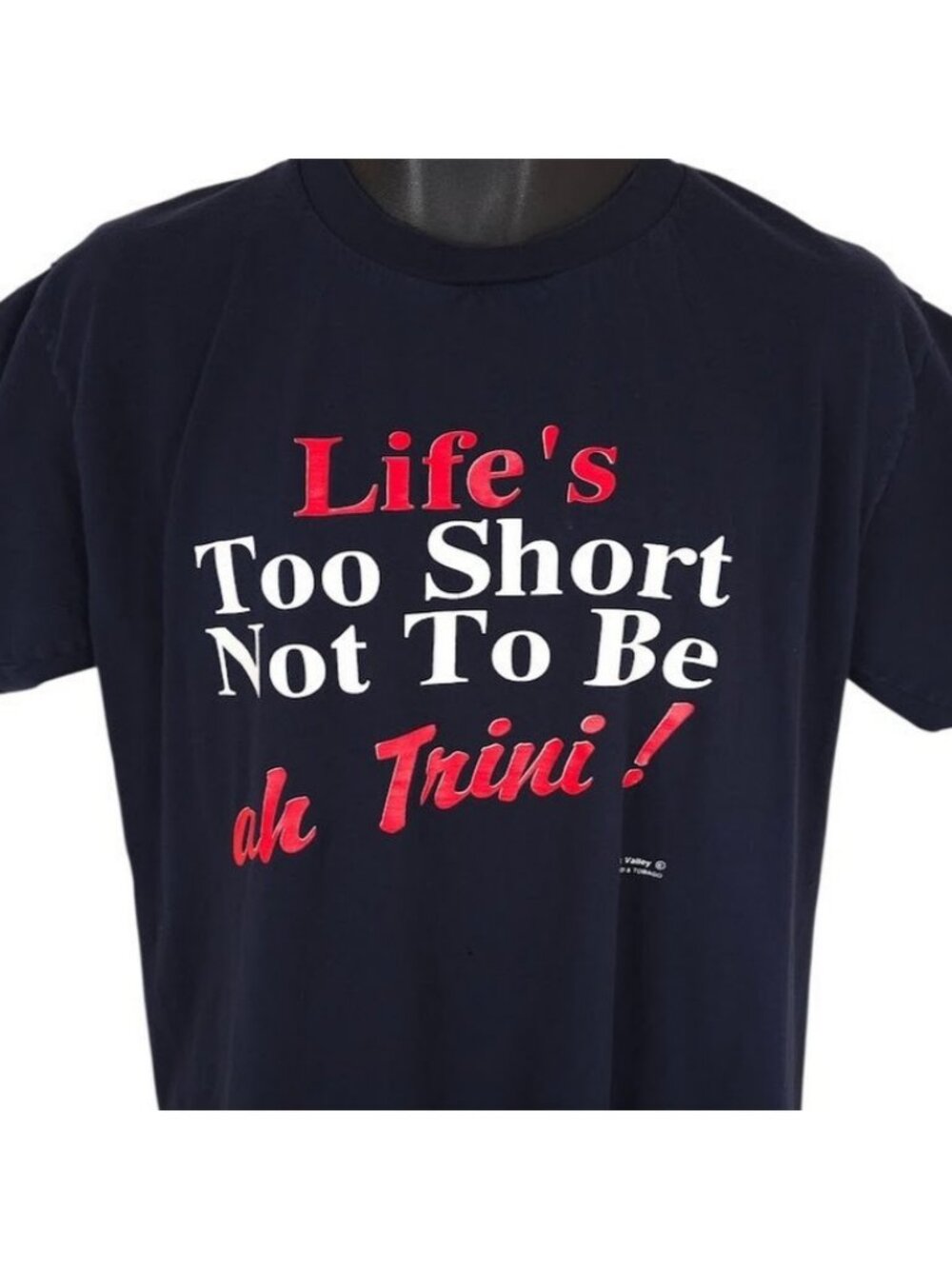 Vintage Trinidad T Shirt Mens Size Large Blue 90s Ah Trini Caribbean Travel Tee